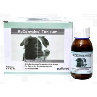 ReConvales Tonicum dog 6 x 90 ml