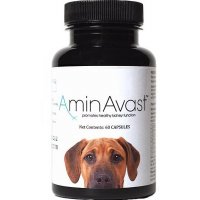 AminAvast 1000 mg 60 cps. pes