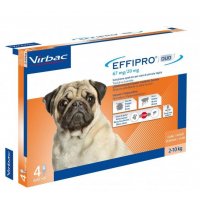 EFFIPRO DUO S 67 mg/ 20 mg spot-on psy 2-10 kg 4 x 0,67 ml